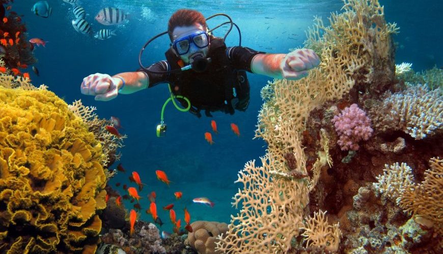 A man scuba diving in-between fish