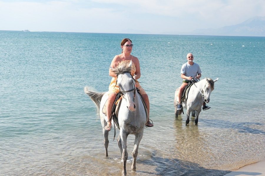 LARA BEACH & FORREST HORSE RIDING SAFARI